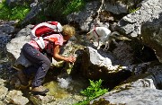 Al Rifugio Albani a scavalco della Valle Azzurra, salita in tutta la sua estensione il 23 giugno 2015 - FOTOGALLERY